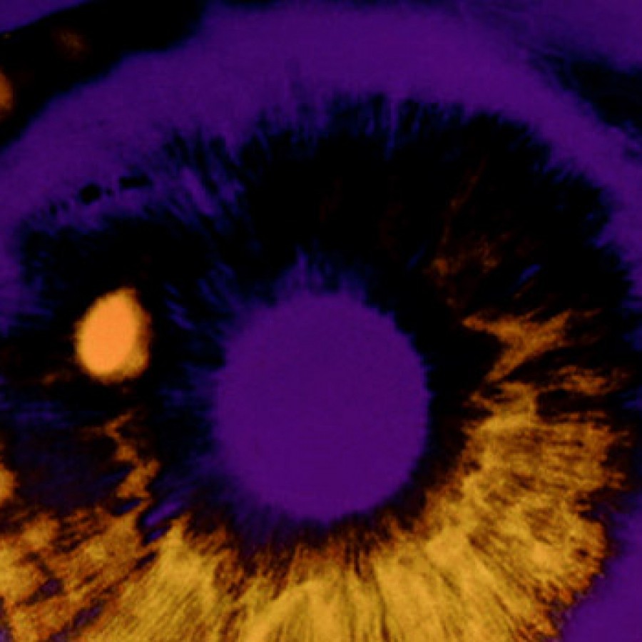 Can movie trailers teach you about content marketing?