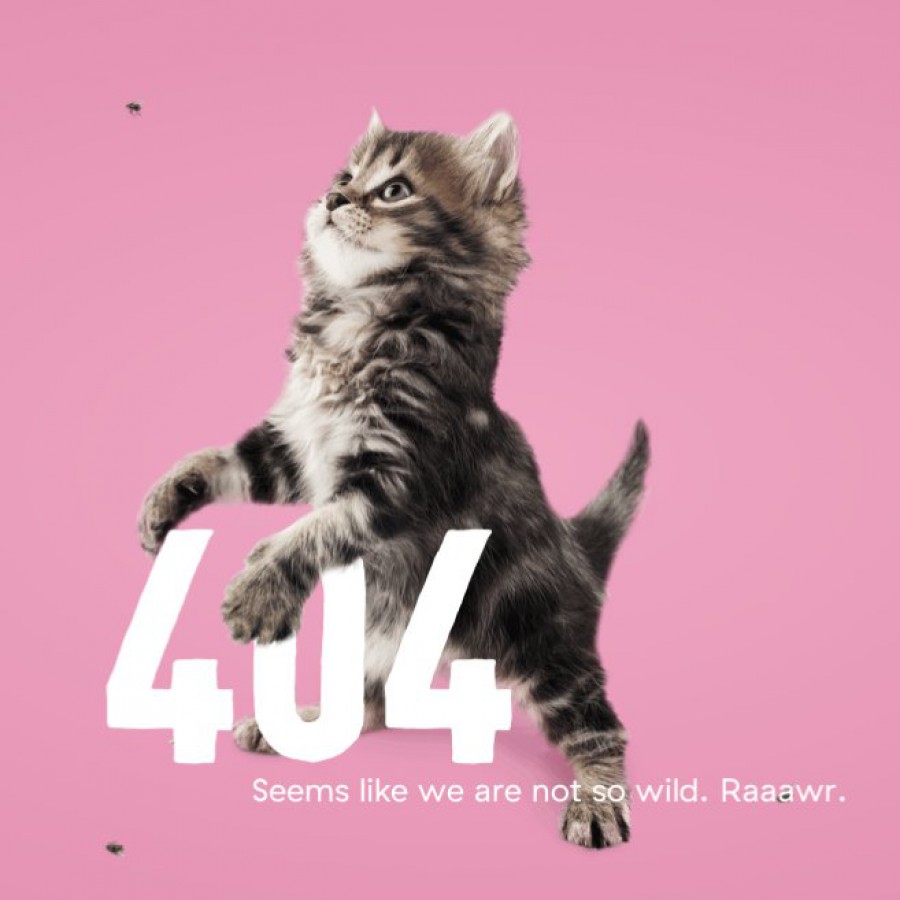 Everything s perfect. Картинка 404. Кат 404. Raaawr.
