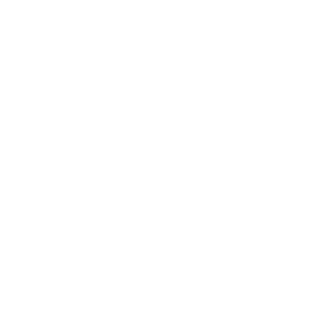 Wedge International Holdings b.v.