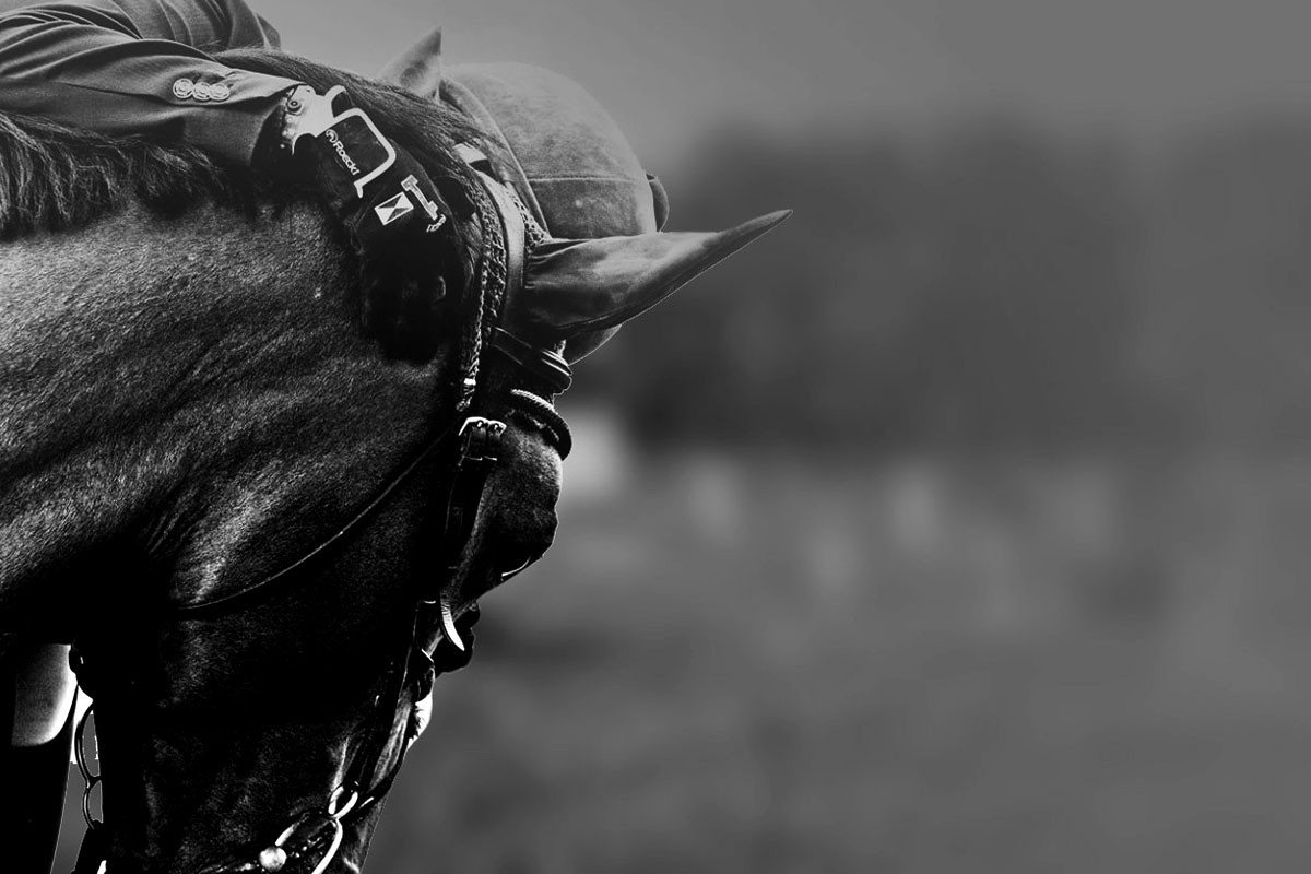 Premium Mares