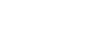 Diligent Holdings